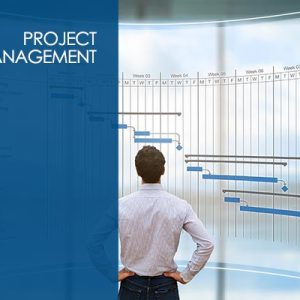 PMI Project Management Professional – 6th edition PMBOK
